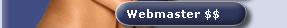 Webmaster $$